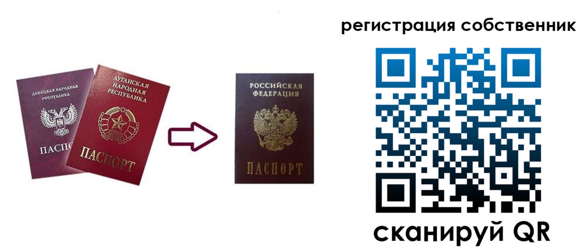 прописка для школы в Крымске